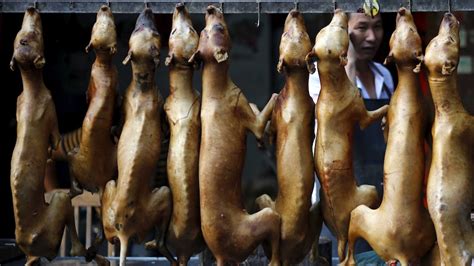 are dogs eaten in china